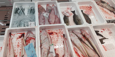 鮮魚