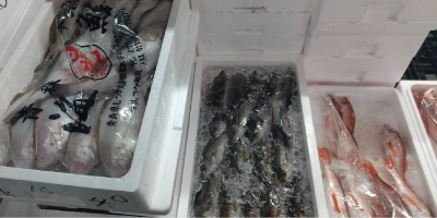 鮮魚